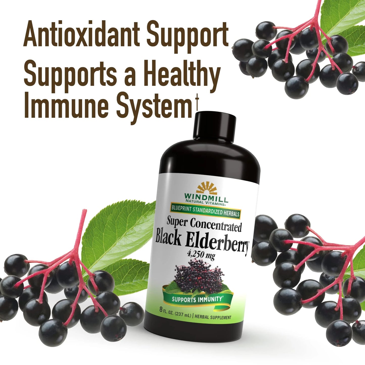 Black Elderberry 4,250 Mg Liquid - 8 Fl. Oz