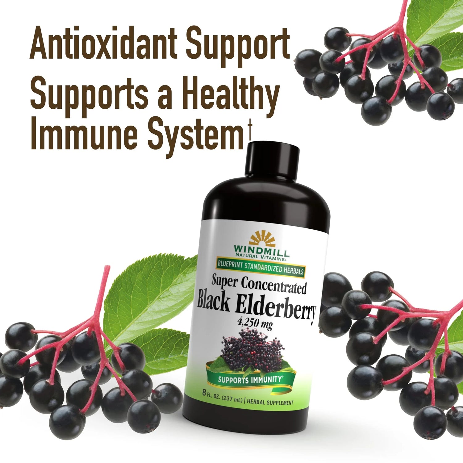 Black Elderberry 4,250 Mg Liquid - 8 Fl. Oz