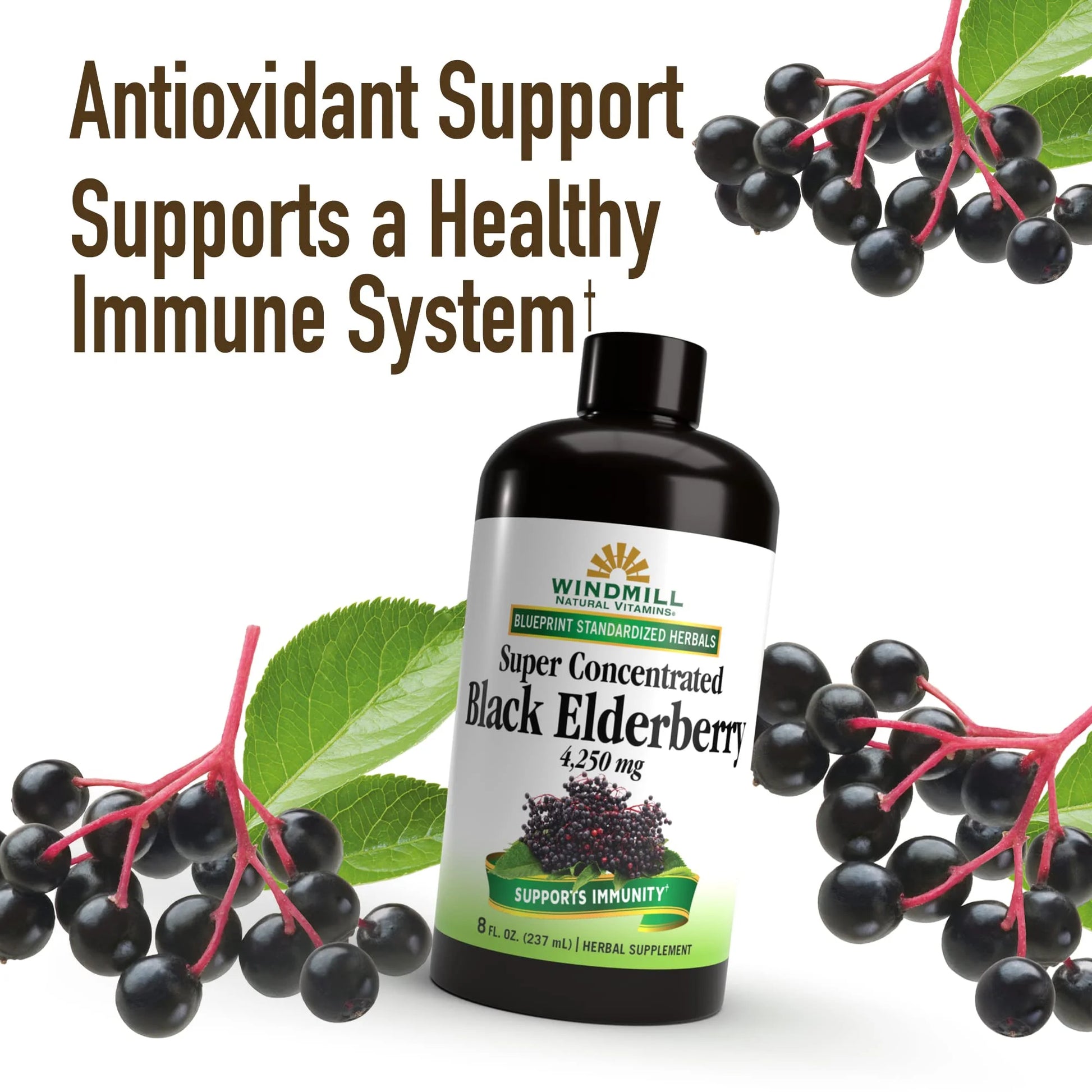 Black Elderberry 4,250 Mg Liquid - 8 Fl. Oz